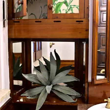 Affittacamere Tetide Palermo